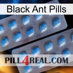 Black Ant Pills viagra4